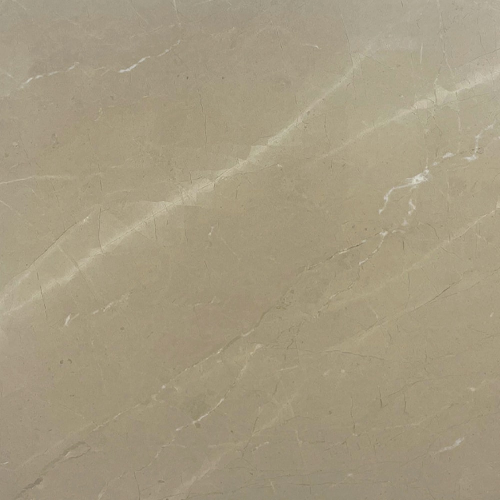 ST Lorraine Marble Swatch - RMS Marble